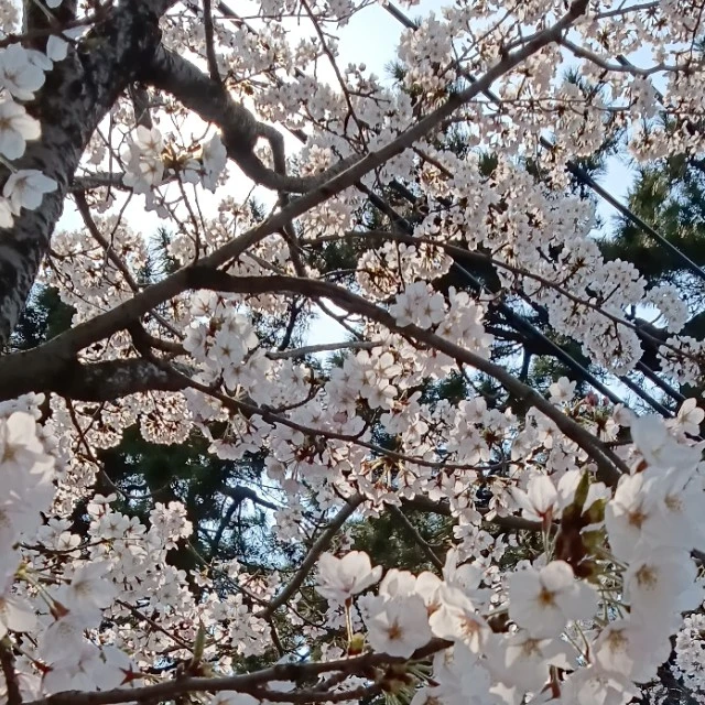 潔世一