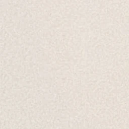 김여우
