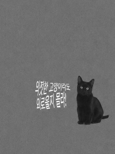 Sharp7942의 안달복달