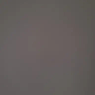 Profile image of 박복티