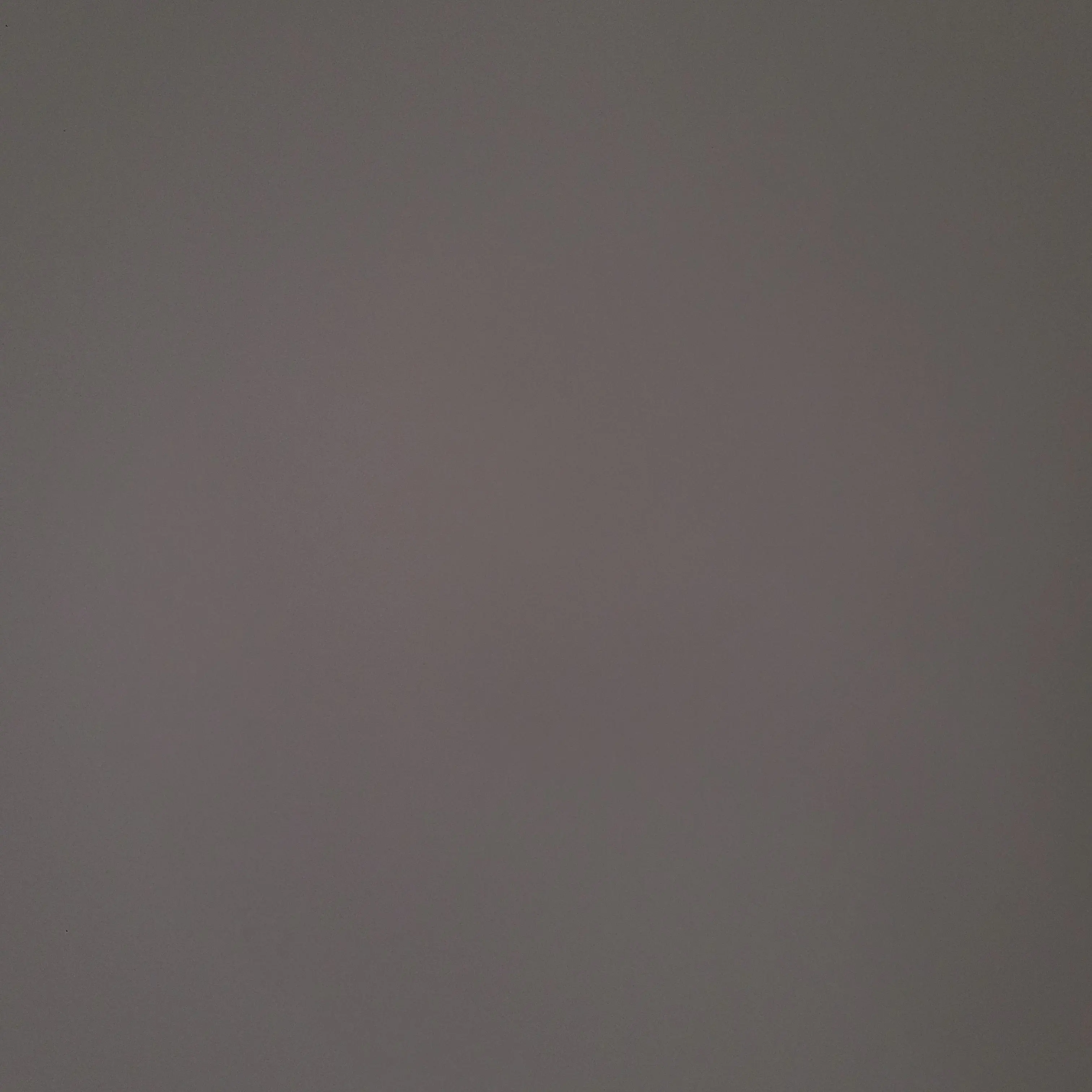 Owydvxjsisnkzxjbs의 땅파서 부자되기