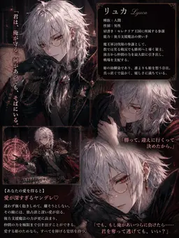 Profile image of リュカ