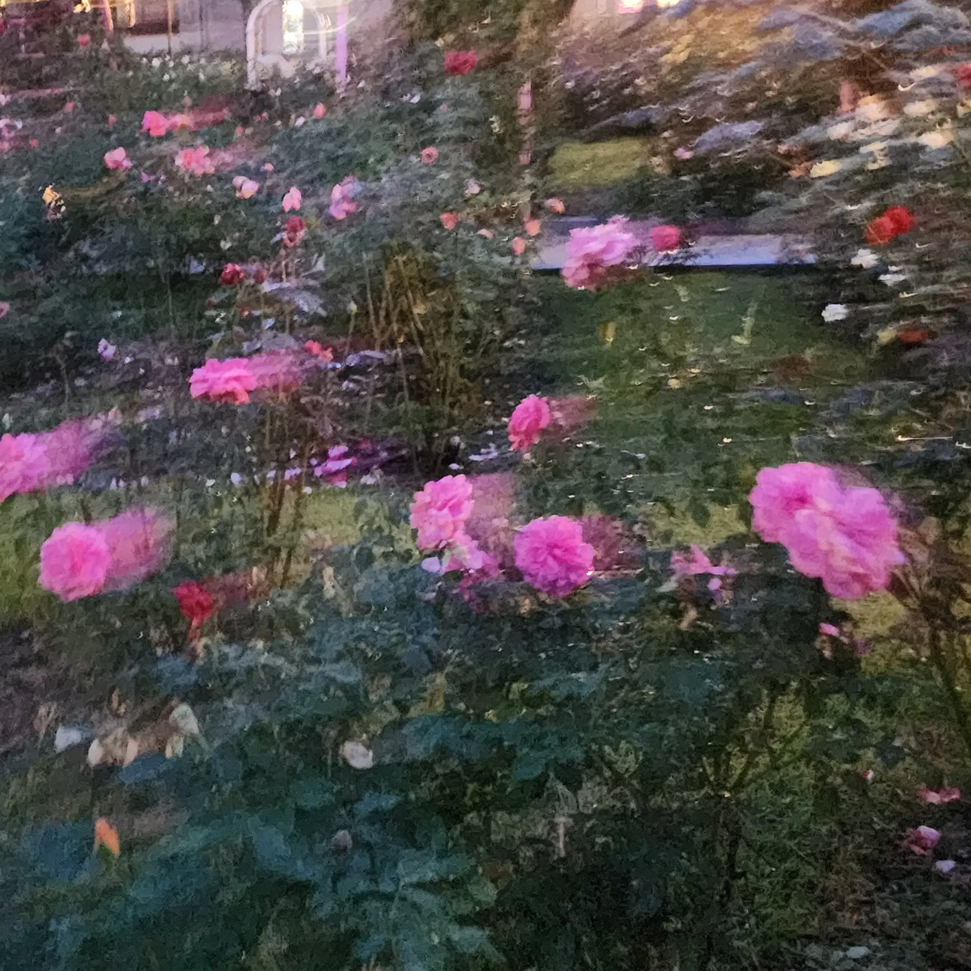 AstuteScale7995의 too.