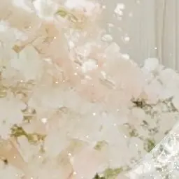 H.U-5-의 희망은 언제나🪽💎