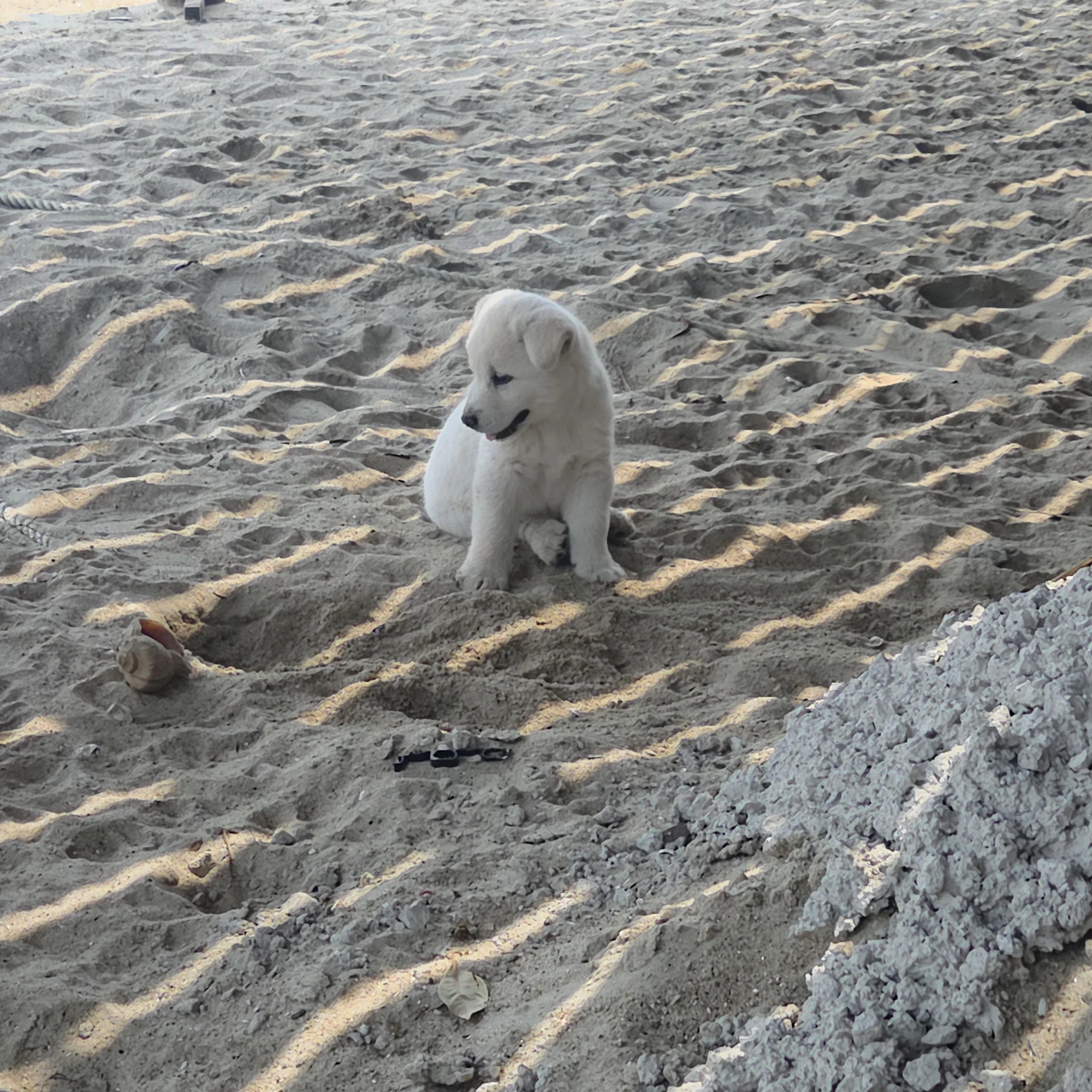데카