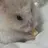 백현