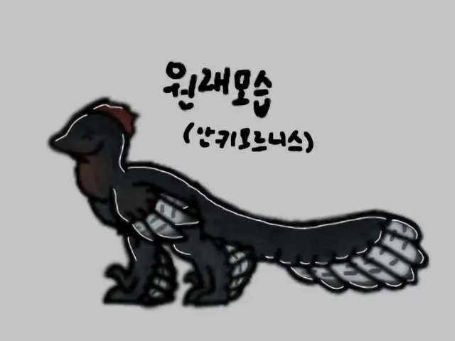 Profile image of 안키