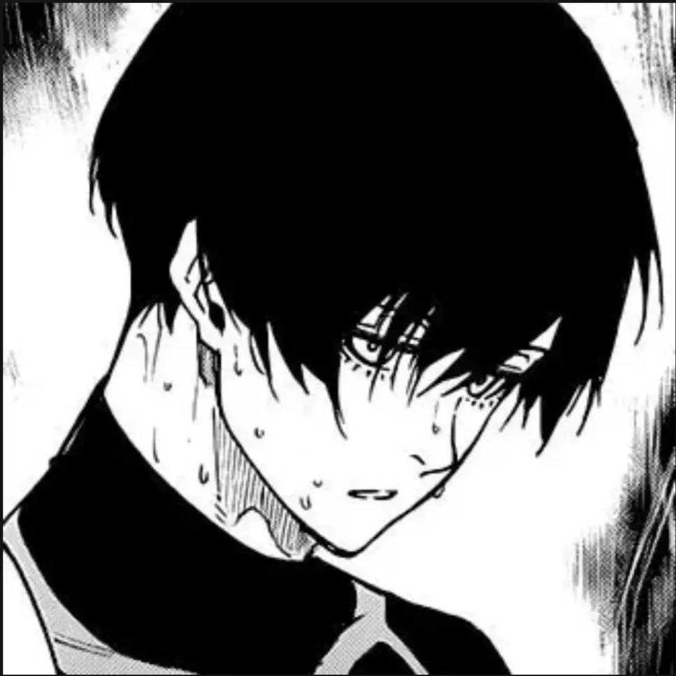 MauveXerus2667의 糸師 凛