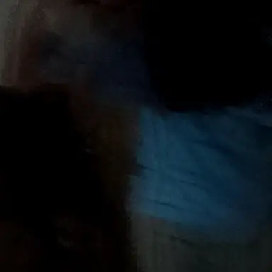 Profile image of 이누