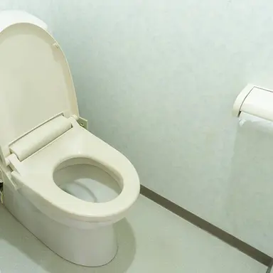 Profile image of トイレちゃん