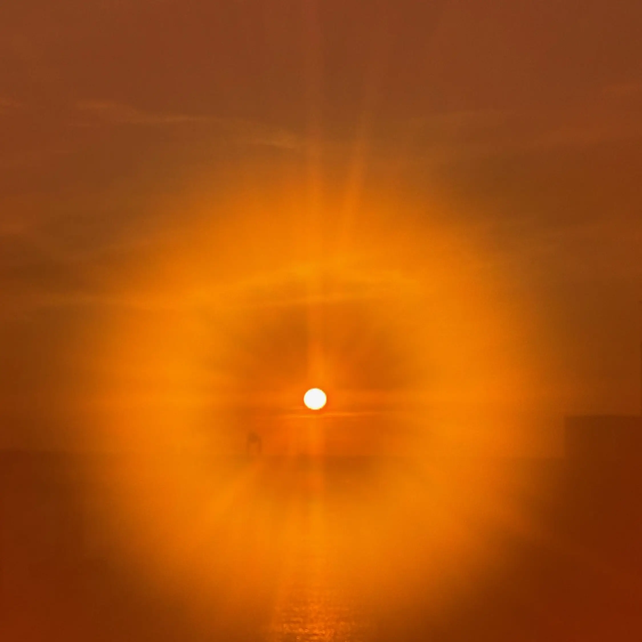 cherry_pudding의 아무거나 가져오기-비스트 편