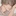 蘭