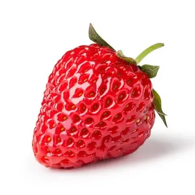 Profile image of 딸기