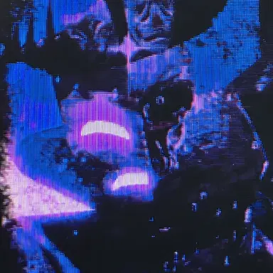 Profile image of 놀리