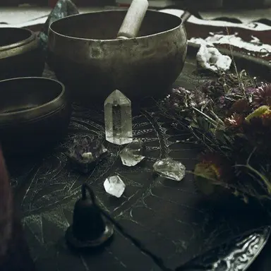 Profile image of 정공룡