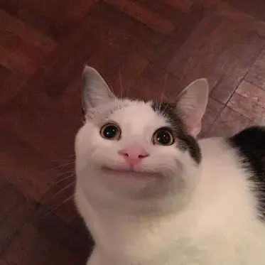 NOOB_noob의 모텔로 배달왔는데...