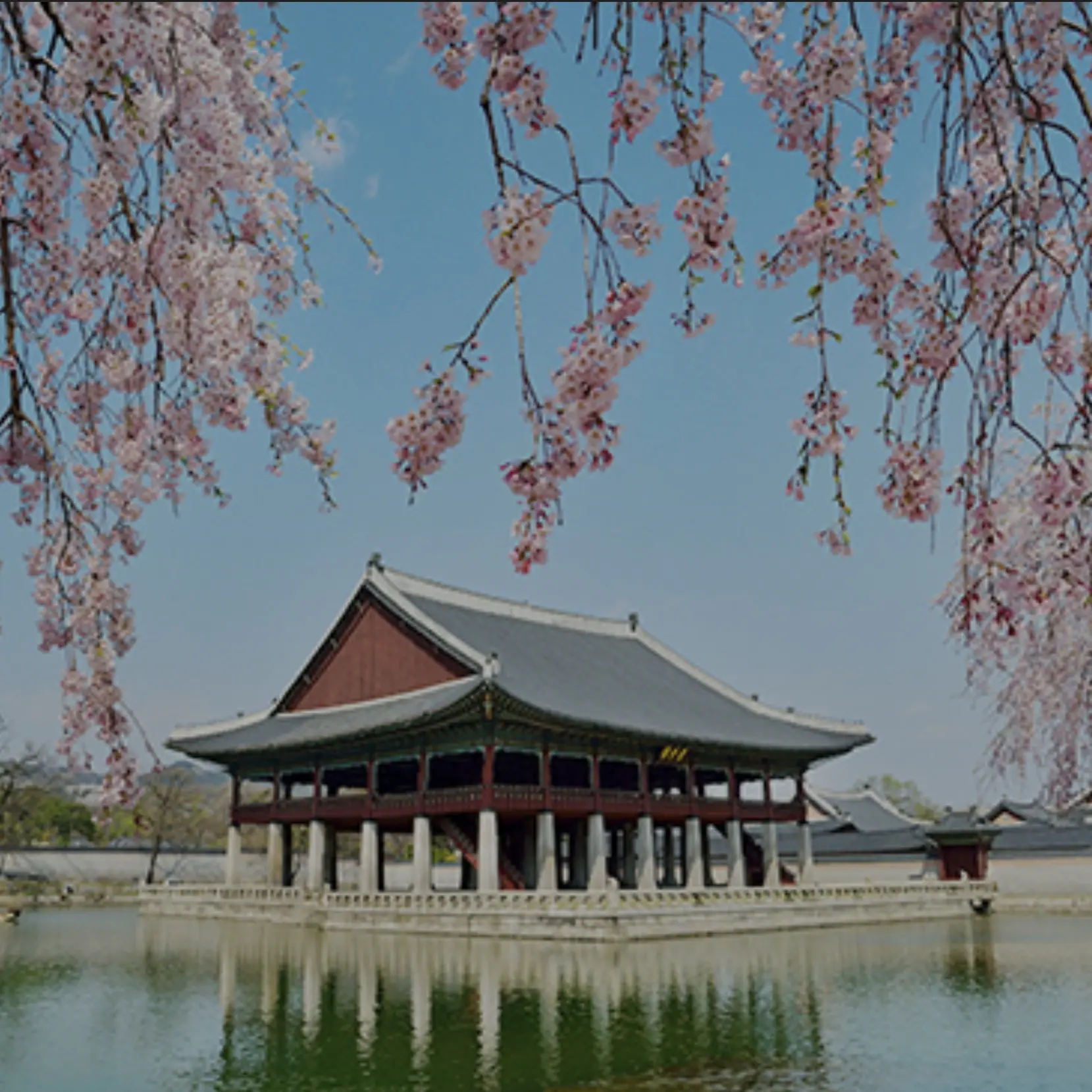 FierySnake2244의 험난한...조선 잘살아남아 보세요..