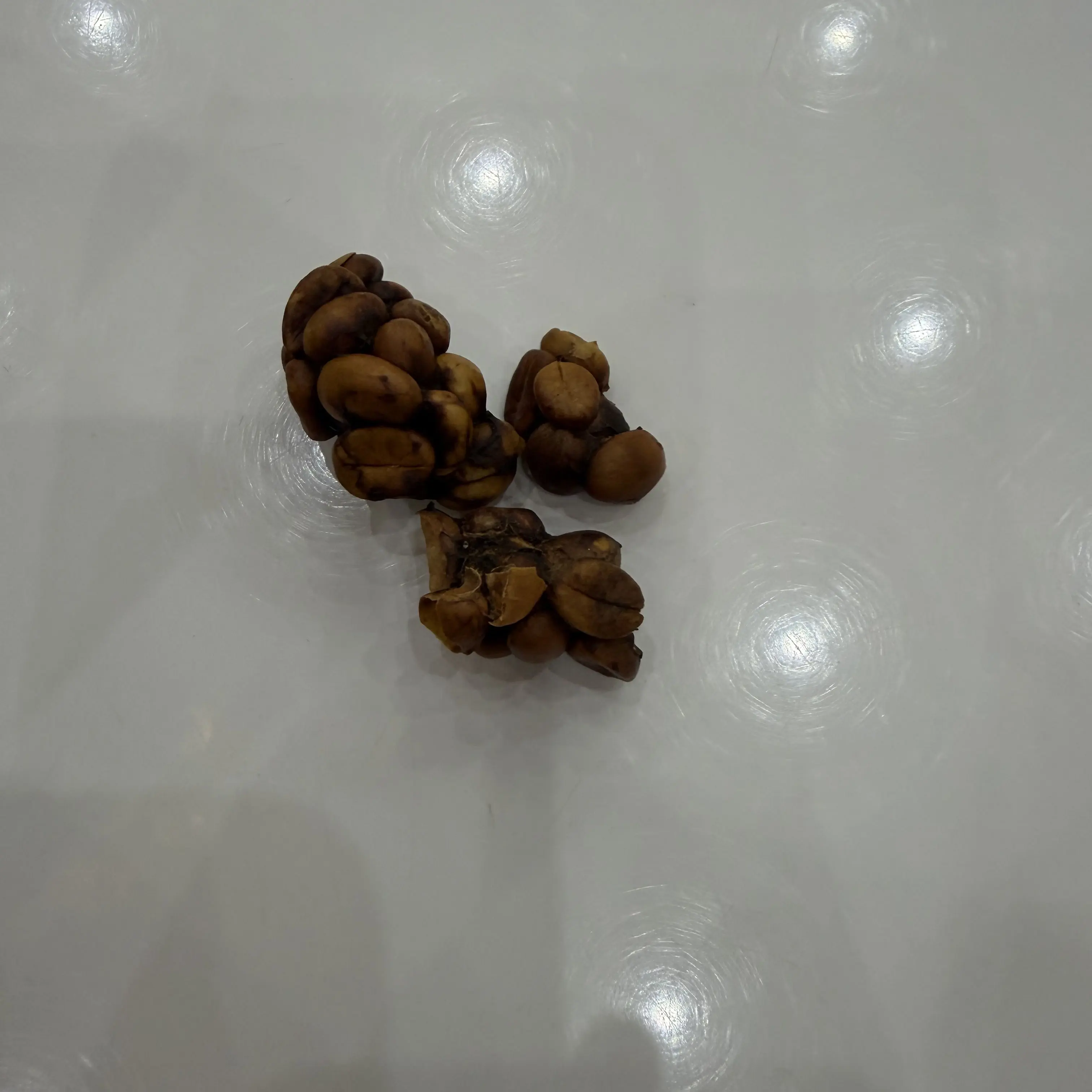 FierceBond0833의 신하율 과 김여우