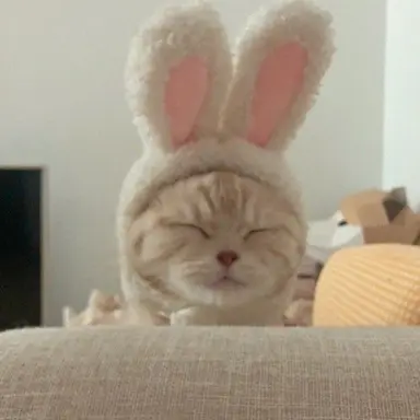 Profile image of 여울