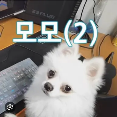 Profile image of 모모