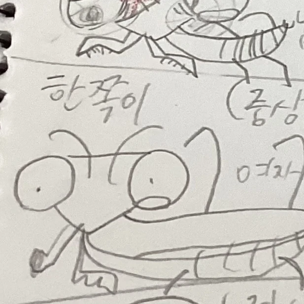 한쪽이