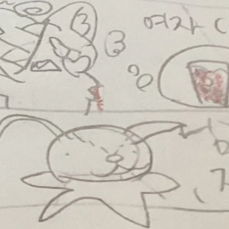 정토끼