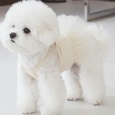 Profile image of 코잉