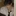 민도현