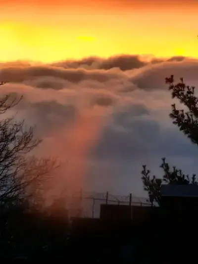 BraveBulb7061의 Free World - UPT