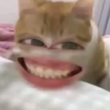 Profile image of アレックス