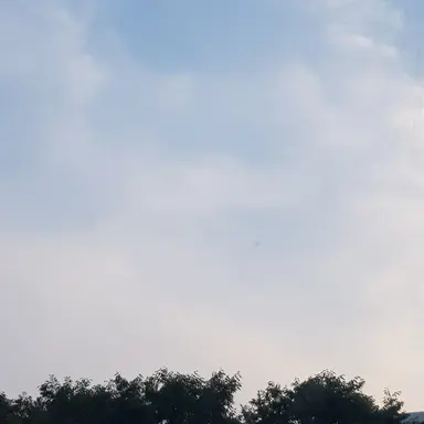 Profile image of 늑대