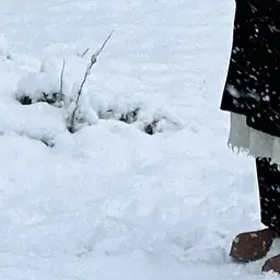 Profile image of 유지민