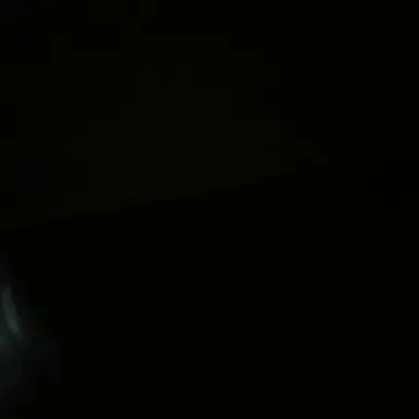 Profile image of 우채운