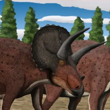 Profile image of 트리