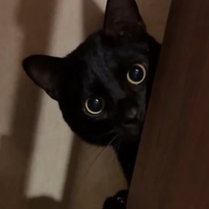 悠介