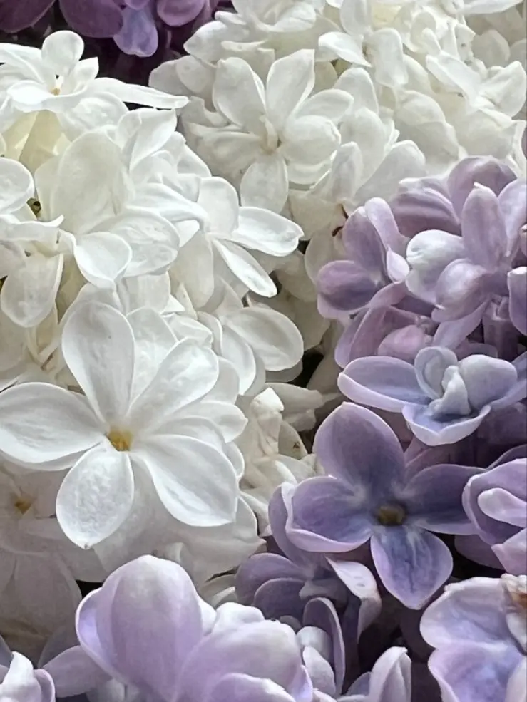 ShortSign4963의 🦑🌱(同居)