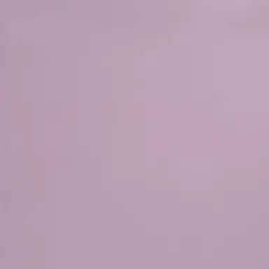 Profile image of 스쿠나