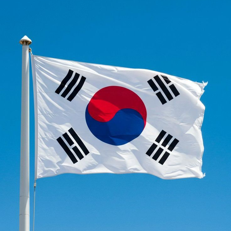 대한민국 대표팀 축구 감독이 되보자. 대표 이미지