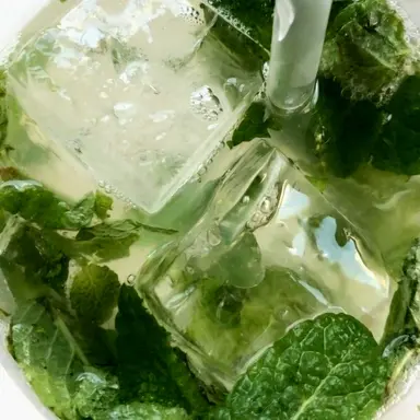 Profile image of 공룡