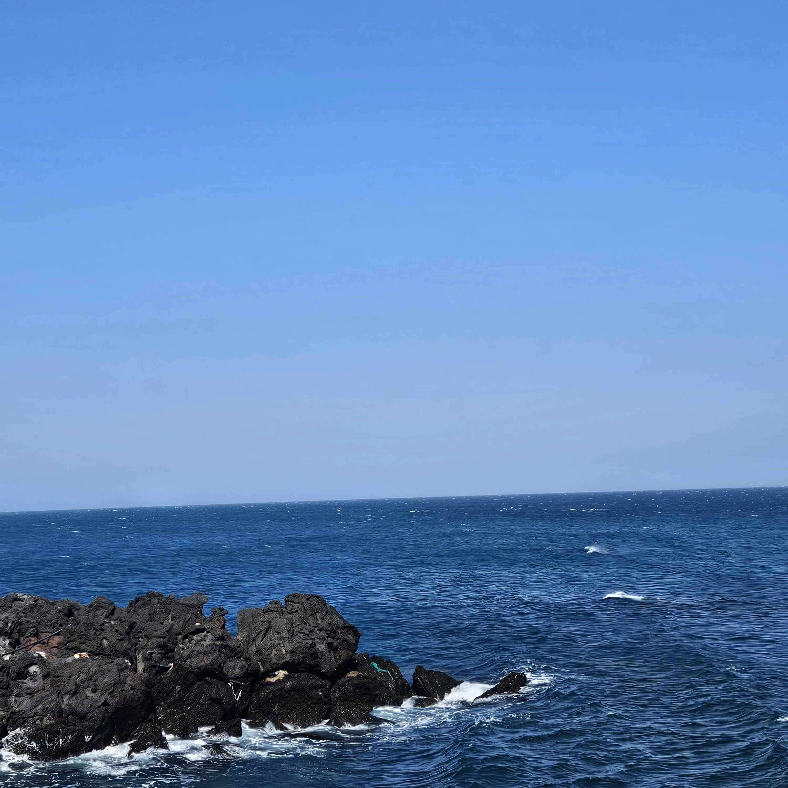 ColdGems6973의 [사건 파일: 은방울 꽃 살인사건]