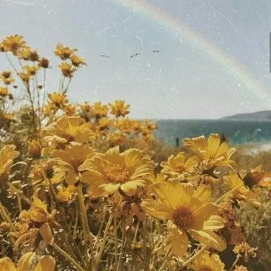 Profile image of 각별