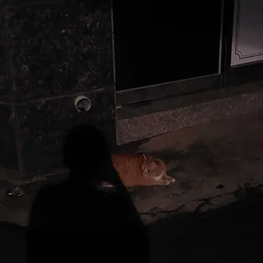 Profile image of 이채영