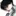김선우