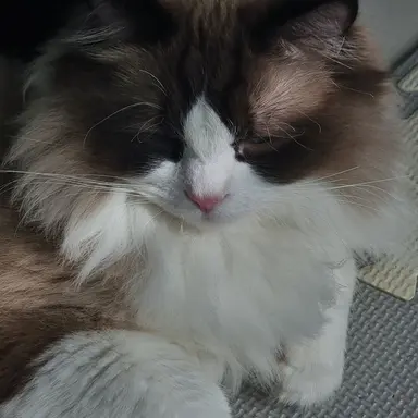 Profile image of 놀라