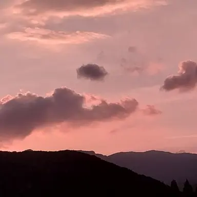 Profile image of 주르르