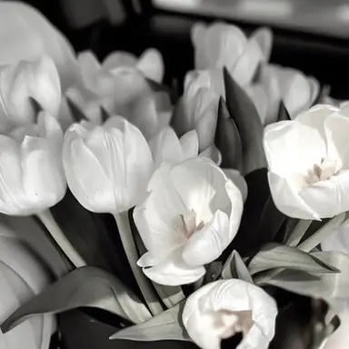 Profile image of 山中 綾華