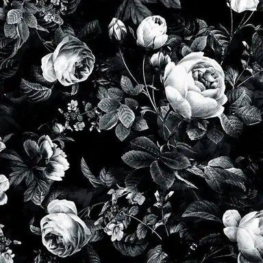 Profile image of 若井 滉斗