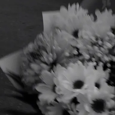 Profile image of 藤澤 涼架