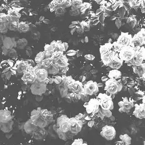 Profile image of 大森 元貴