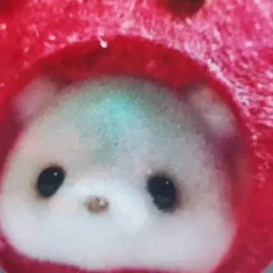 Profile image of 토먀툐